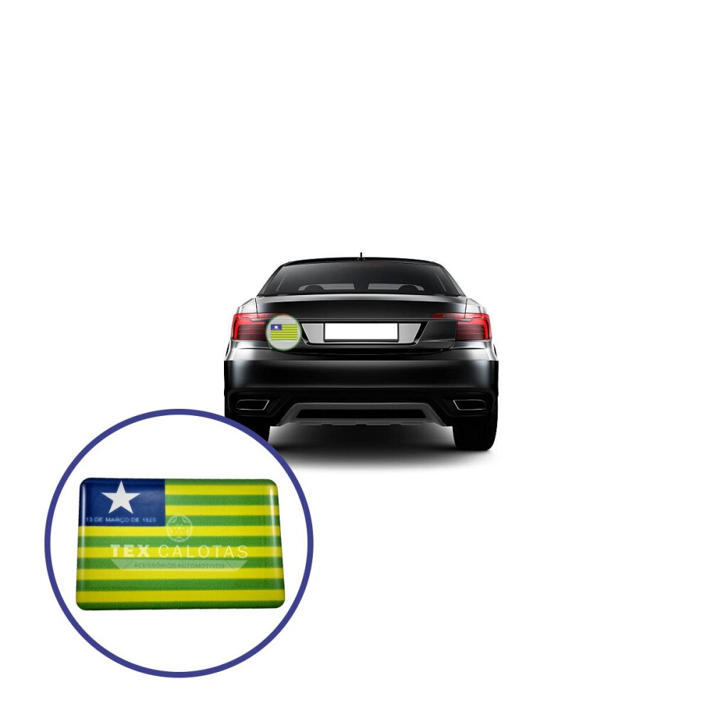 Bandeira Resinada Automotiva do Piauí