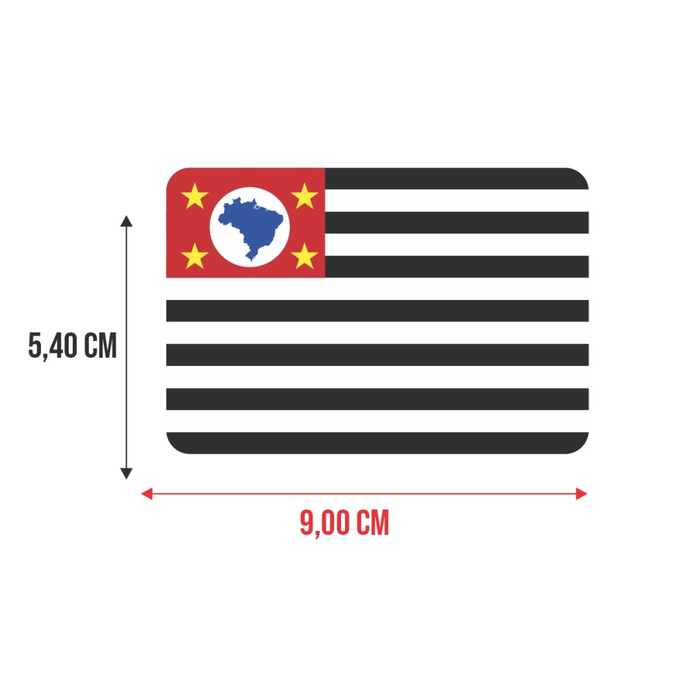 Bandeira Resinada Automotiva de São Paulo