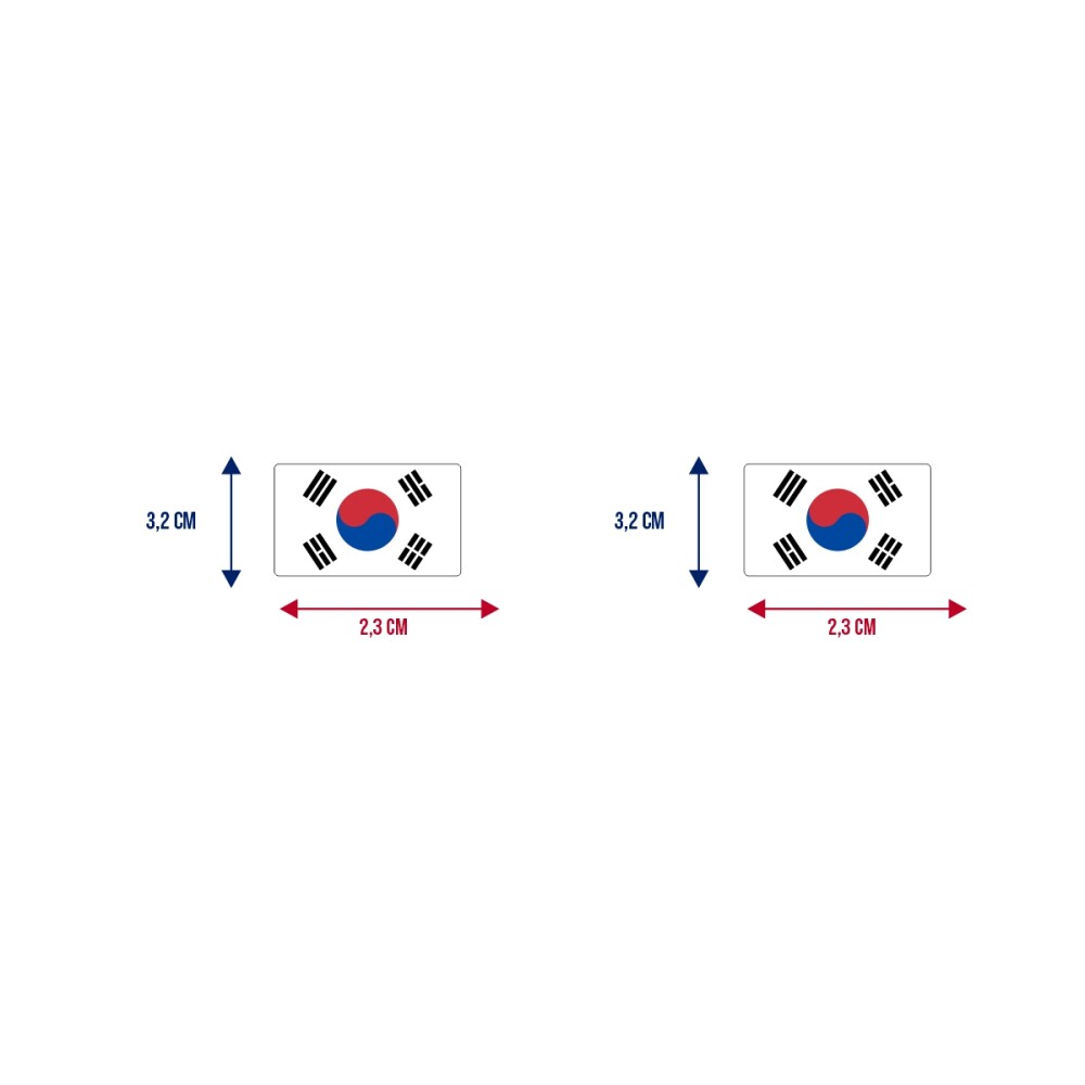 Bandeira Resinada Automotiva Coreia do Sul
