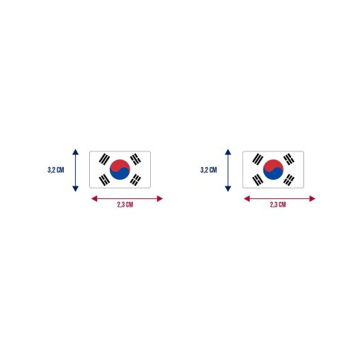 Bandeira Resinada Automotiva Coreia do Sul