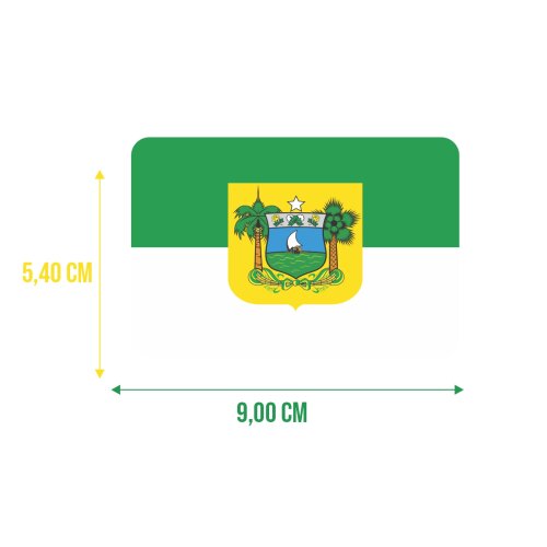 Bandeira Resinada Automotiva do Rio Grande do Norte