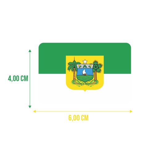 Bandeira Resinada Automotiva do Rio Grande do Norte