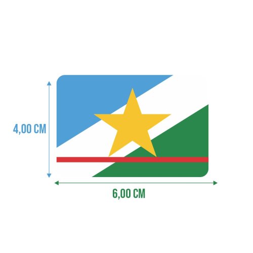 Bandeira Resinada Automotiva de Roraima