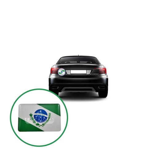 Bandeira Resinada Automotiva  Paraná