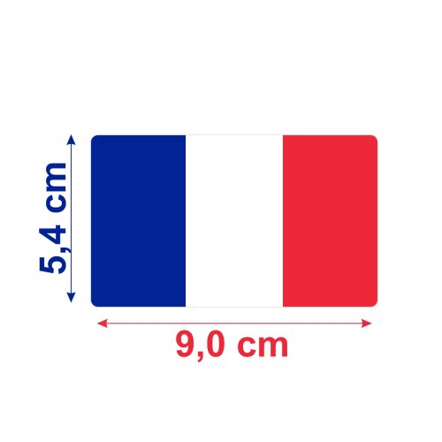 Bandeira Resinada Automotiva França