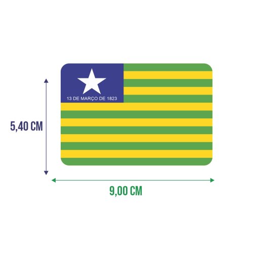Bandeira Resinada Automotiva do Piauí