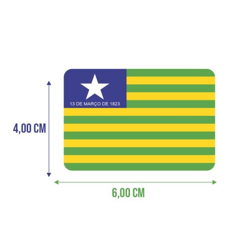 Bandeira Resinada Automotiva do Piauí