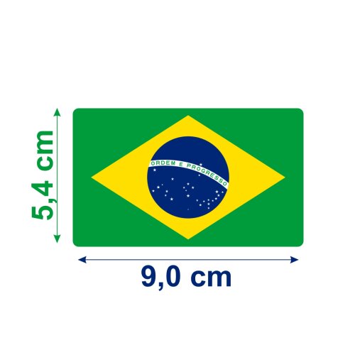 Bandeira Resinada Automotiva do Brasil