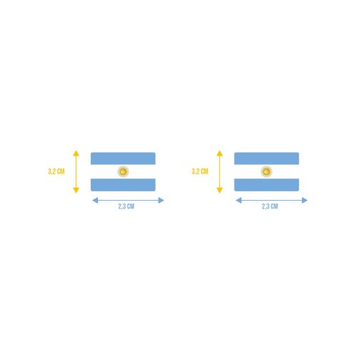 Bandeira Resinada Automotiva da Argentina