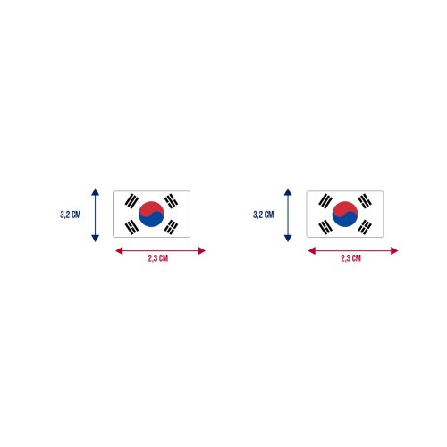 Bandeira Resinada Automotiva Coreia do Sul