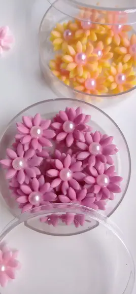 Apliques Mini Florzinhas de Biscuit