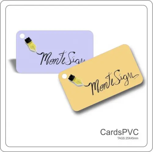 100 TAGS 45X25MM