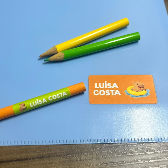 Etiquetas Escolares Adesivas Capivara Vinil