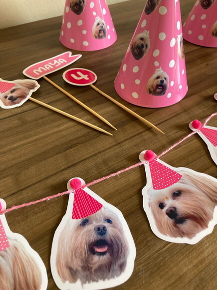 Festa Pet Kit Personalizado para Cães e Gatos