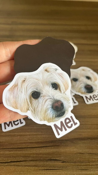 Lembrancinha Imã Pet com Foto