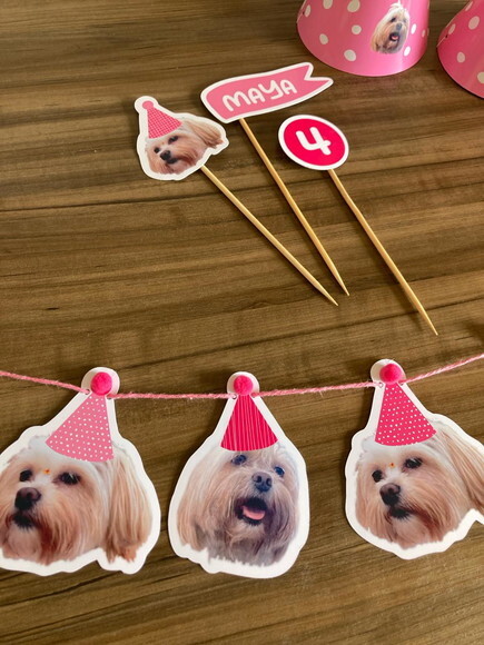 Festa Pet Kit Personalizado para Cães e Gatos