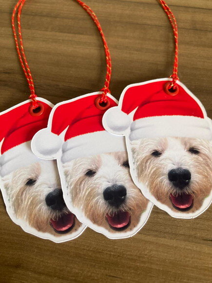Enfeite para Árvore de Natal Rostinho com Foto 20 un