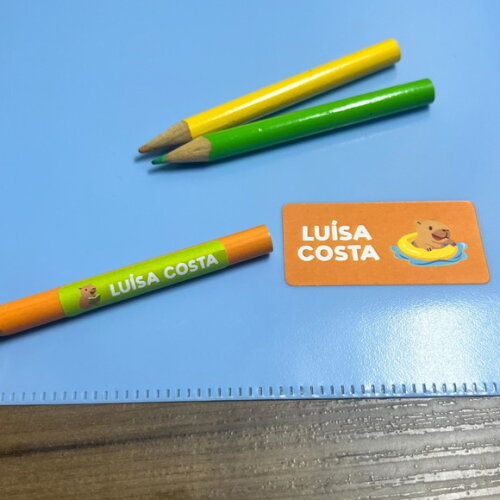 Etiquetas Escolares Adesivas Capivara