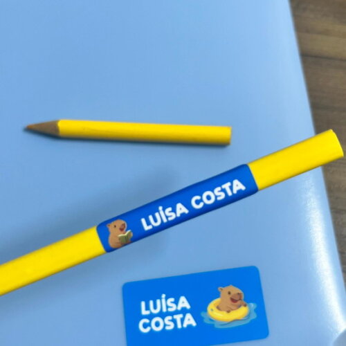 Etiquetas Escolares Adesivas Capivara Azul Vinil