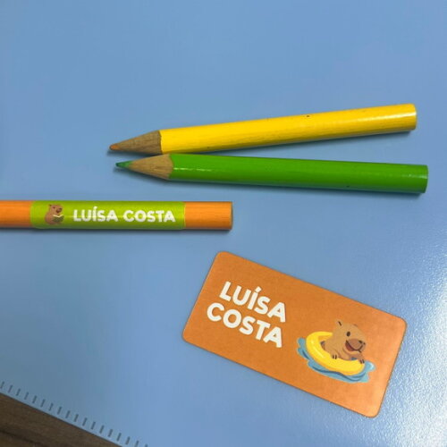 Etiquetas Escolares Adesivas Capivara Vinil