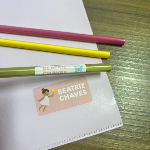 Etiquetas Escolares Adesivas Fadas Rosa