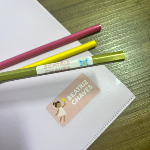 Etiquetas Escolares Adesivas Fadas Rosa Vinil