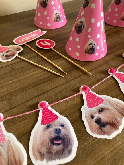 Festa Pet Kit Personalizado para Cães e Gatos