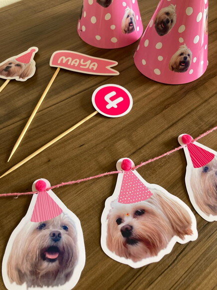 Festa Pet Kit Personalizado para Cães e Gatos