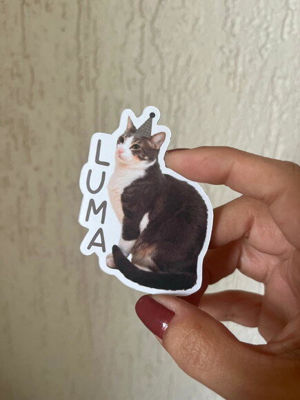 Lembrancinha Imã Pet com Foto
