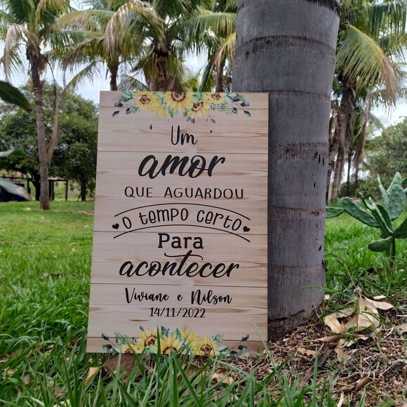 Placa Casamento boas Vindas 60x40cm