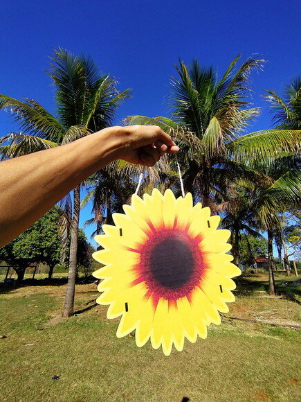 Cestinhas para Florista girassol