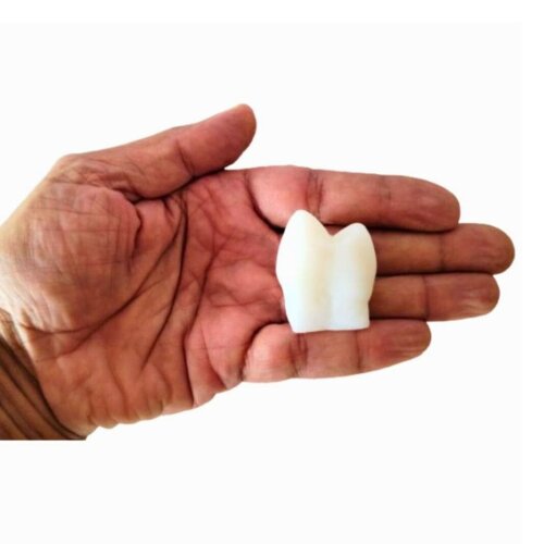 Kit Sabonetes Dentes Artesanais para Dentistas e Clínicas Odonto