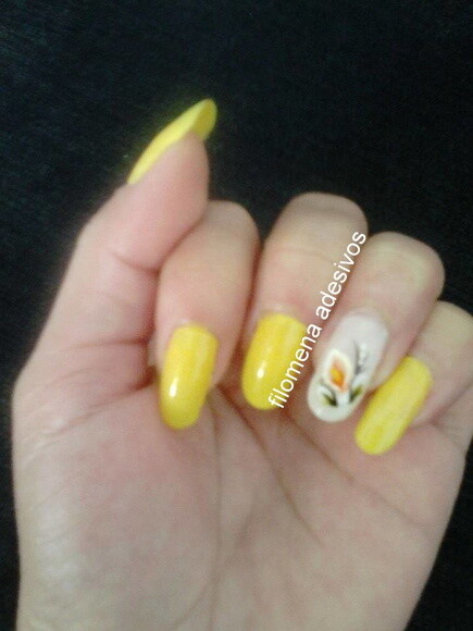 Adesivos para Unhas Naturais.