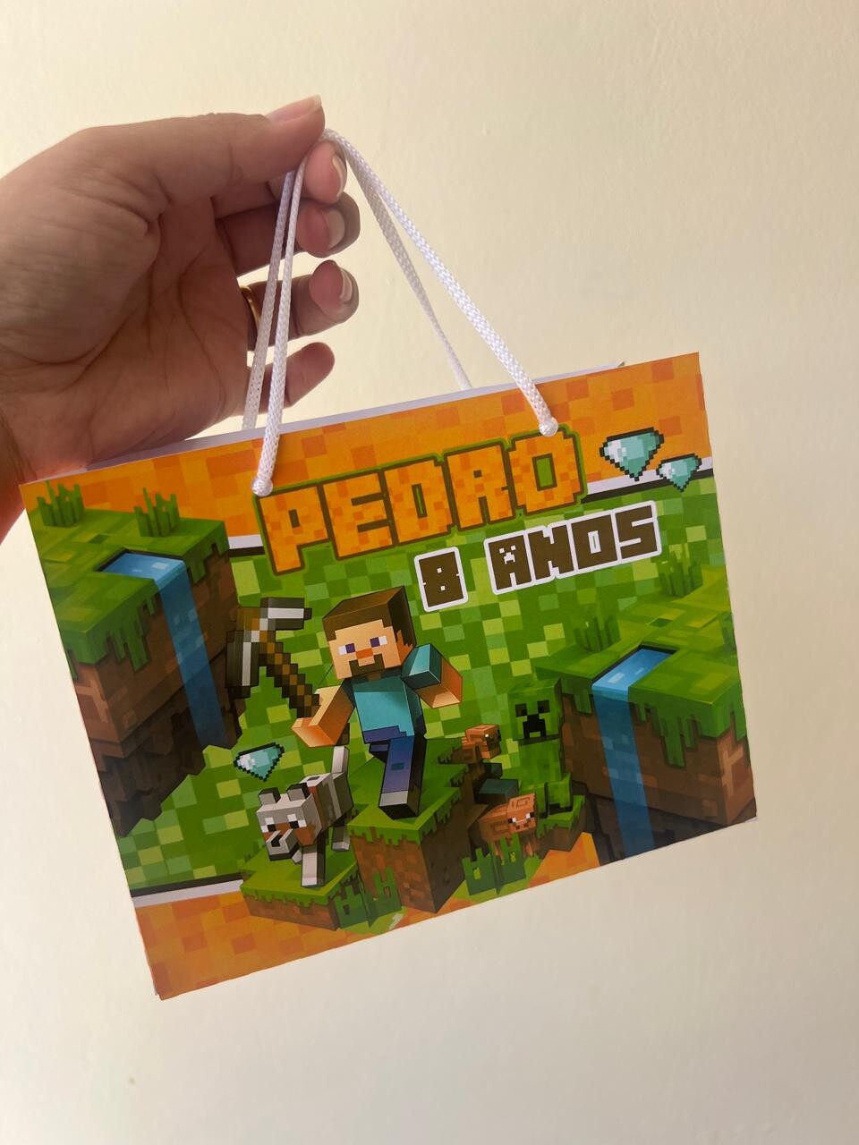 15 Sacolinhas Personalizada Minecraft