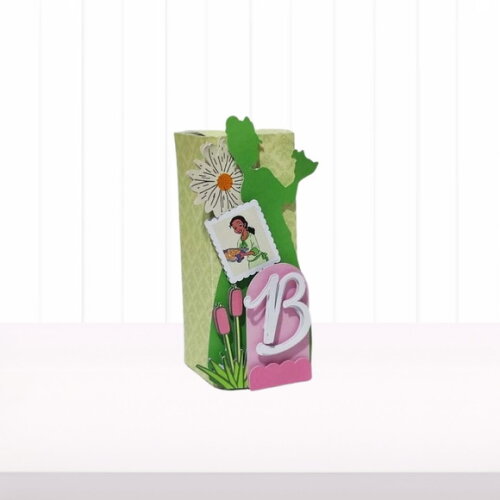 Personalizados Tiana a Princesa e o Sapo - 20 Itens