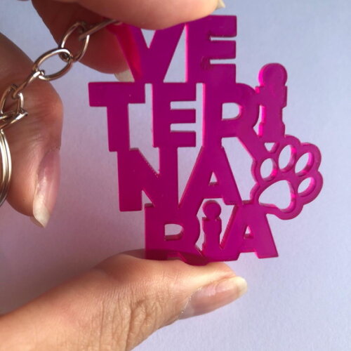 Chaveiro Profissões- Veterinária