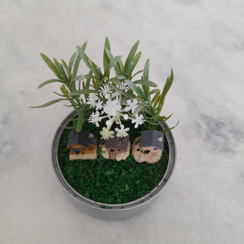 Mini jardim decorado com casinha e plantas miniaturas