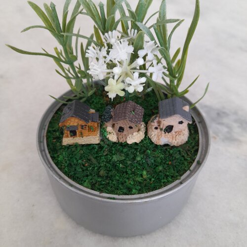 Mini jardim decorado com casinha e plantas miniaturas