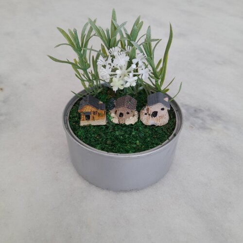 Mini jardim decorado com casinha e plantas miniaturas