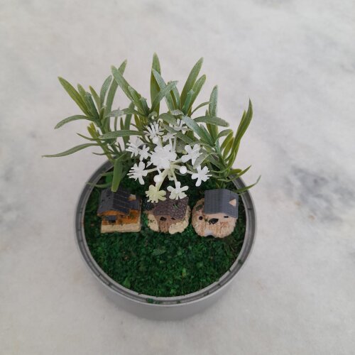Mini jardim decorado com casinha e plantas miniaturas