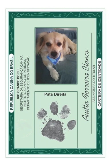Rg para o Seu Pet Cachorro e Gato. (digital)
