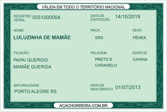 Rg para o Seu Pet Cachorro e Gato. (digital)