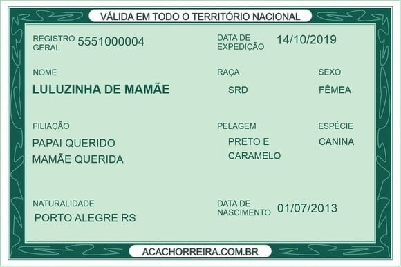 Rg para o Seu Pet Cachorro e Gato. (digital)
