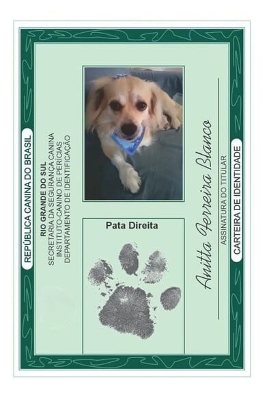 Rg para o Seu Pet Cachorro e Gato. (digital)
