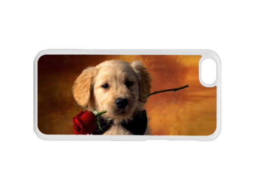 Capa de Celular Personalizada Iphone 4/5