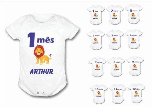 Kit com 12 body Mesversário personalizado