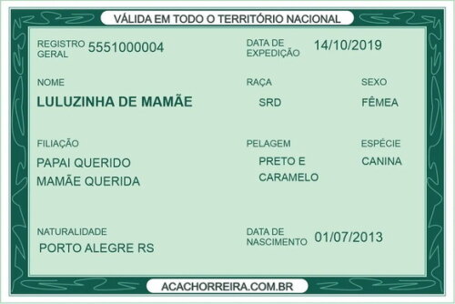 Rg para o Seu Pet Cachorro e Gato. (digital)