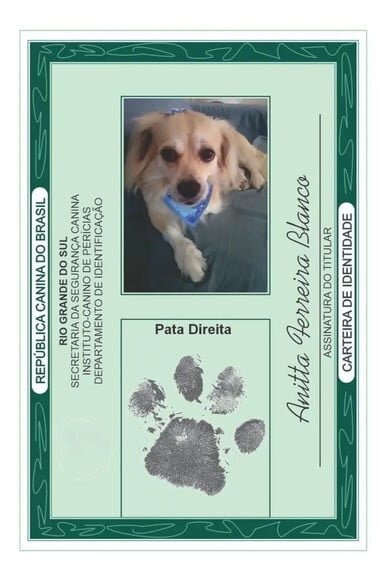 Rg para o Seu Pet Cachorro e Gato. (digital)