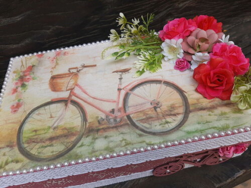 Caixa bicicleta