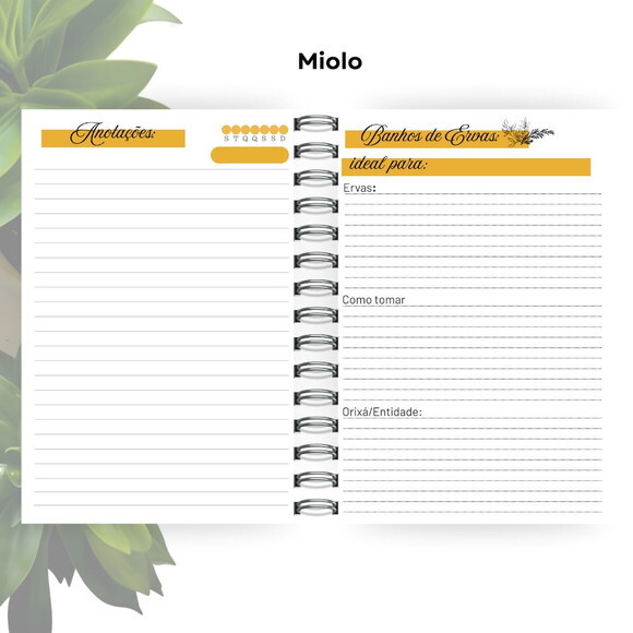 Caderno de Giras - Orixá Oxum (tamanho Universitário)